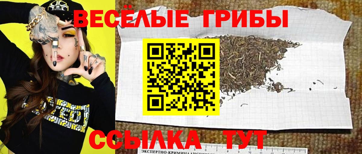Галлюциногенные грибы мицелий  Вход с VPN  наркотики  Иваново 