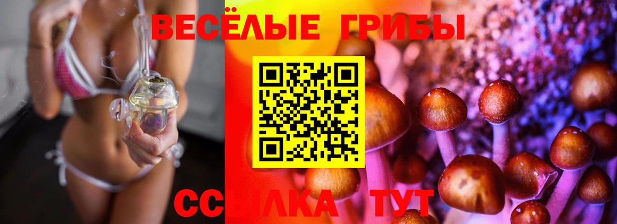 Псилоцибиновые грибы ЛСД Иваново